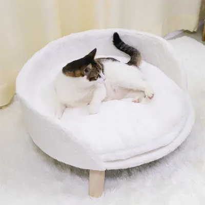 A cat is resting in a white, fluffy pet bed with wooden legs.
