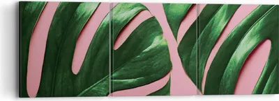 Produktbild von Bild auf Leinwand - Leinwandbild - 3 Teile - Monstera Blatt Rosa - 90x30cm - Wand Bild - Wanddeko - Wandbilder - Leinwanddruck - Bilder - Wanddekoration - Leinwand bilder - Wandbild - CA90x30-4407