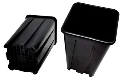 Produktbild von 20 Stück Vierecktopf Hochtopf 11 x 11 x 20 cm - Spezialtopf für die Anzucht von Tiefwurzlern, extra groß und robust