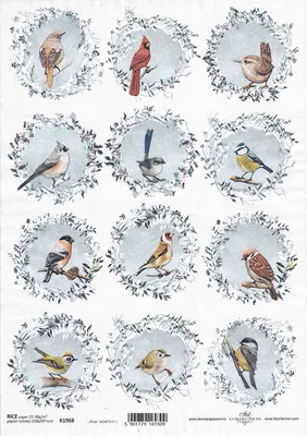 Produktbild von ITD Reispapier Decoupage Bastelpapier Serviettentechnik, ITD-R1968 Wintervögel