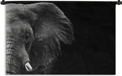 Produktbild von MuchoWow® Wandteppich Wandbehang Tiere - Elefant - Wild - Schwarz - Weiß 150x100 cm Tapisserie Dekoration Wandtuch - Waschbar - Tapisserien - Wand-Decke