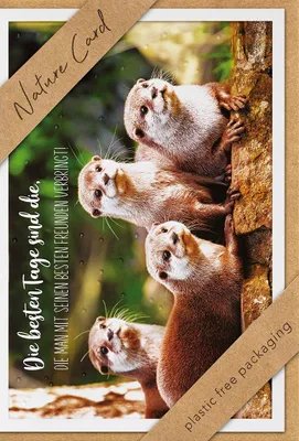 Produktbild von bsb 691038-2 Allgemeine Glückwunschkarte - Natur Card, inkl. Umschlag