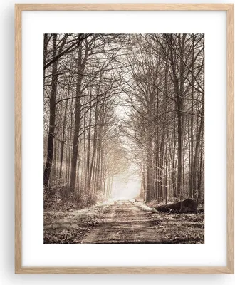 Produktbild von Gerahmtes Poster - Rahmen in heller Eiche - Wald Straße Baum - 40x50 cm - Wand Bild - Wanddeko - Wandbilder - Kunstposter - Wandposter - Bilderrahmen - Bilder - Kunstdruck - Wandbild - P2NPA40x50-3620