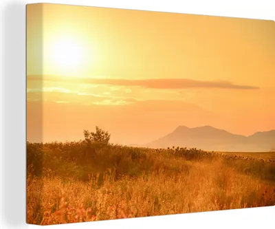 Produktbild von OneMillionCanvasses® - Leinwandbilder - 140x90 cm, Sonnenaufgang in einem Naturschutzgebiet, Wandbilder Kunstdruck Wanddekoration