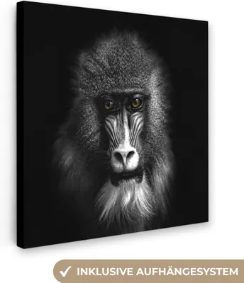 Produktbild von MuchoWow® - Leinwandbilder - Affe - Tiere - Augen - Braun - Schwarz und weiß, Wandbild, Wanddeko Bilder Wohnzimmer, 90x90 cm