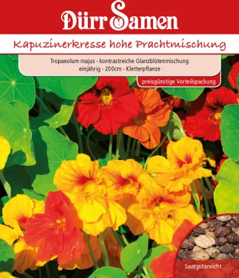 Produktbild von Kapuzinerkresse hohe Prachtmischung | Kapuzinerkressesamen von Dürr Samen
