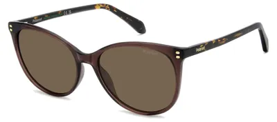 Produktbild von Polaroid PLD 4200/S/X Brown 56/16/140 Damen Sonnenbrillen