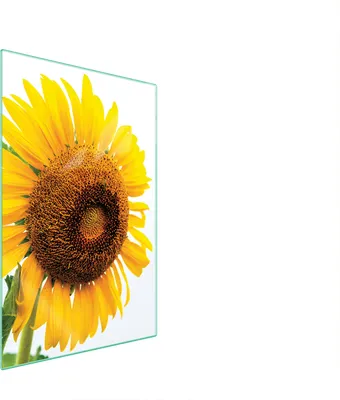 Produktbild von Herdabdeckplatte 35x52 Glaskeramikkochfeld Abdeckung Spritzschutz Glasplatte Deko Schneidebrett Sonnenblume Gelb