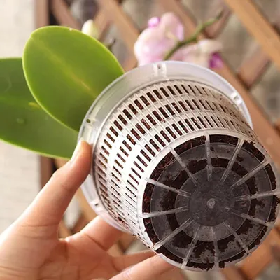 Produktbild von Transparente Orchideentöpfe 5 Stück Durchmesser 14 cm Höhe 12 cm - Kunststoff-Orchideentöpfe mit Löchern - Innentopf für Orchideen