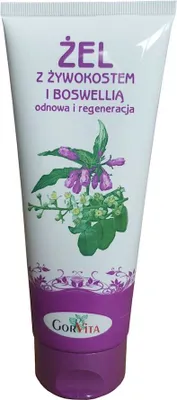 Produktbild von Gorvita Rhinostral Gel with Boswellia 200ml