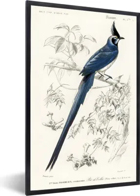 Produktbild von MuchoWow® MuchoWow® Gerahmtes Poster Vogel - Vintage - Zweig 40x60 cm - Poster mit zchwarzem Bilderrahmen - Papierdruck - Wandbilder