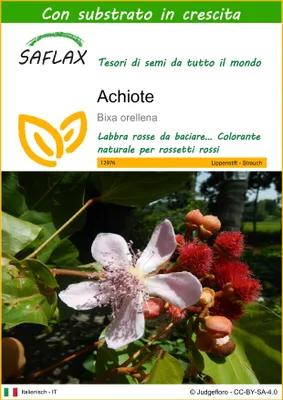 Immagine prodotto di SAFLAX  - Achiote - 20 semi - Con substrato - Bixa