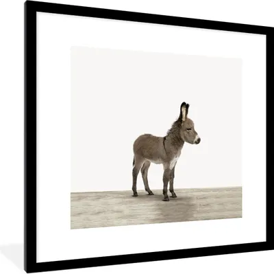 Produktbild von MuchoWow® Gerahmtes Poster Esel - Tiere - Kinder - Niedlich - Mädchen - Jungen 40x40 cm - Poster mit Schwarzem Bilderrahmen Wandposter Rahmen Foto Bilder - Poster - Plakat im Rahmen