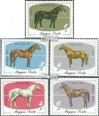 Produktbild von Briefmarken Ungarn 1985 Mi 3766A-3770A (kompl.Ausg.) postfrisch Pferde