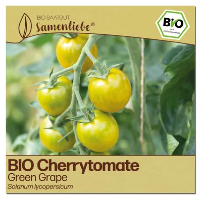 Produktbild von Samenliebe  Tomate Samen | Green Grape - grün & süß fruchtig - samenfestes  Saatgut