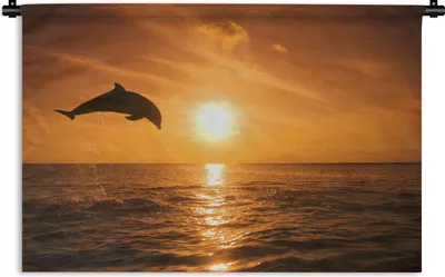 Produktbild von MuchoWow® Wandteppich Wandbehang Delfin - Sonne - Meer 150x100 cm Tapisserie Dekoration Wandtuch - Waschbar - Tapisserien - Wand-Decke