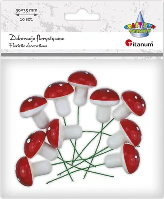 Obrázek produktu pro Polystyrenové muchomory 30 x 35 mm, 10 ks – Titanum
