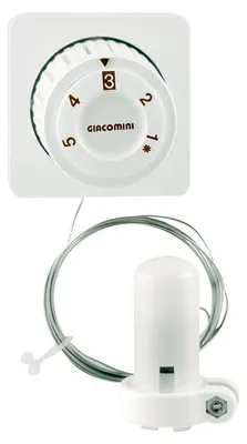Produktbild von Giacomini R463 Thermostatkopf mit Fernversteller, 5m Kapillarleitung, R463X005