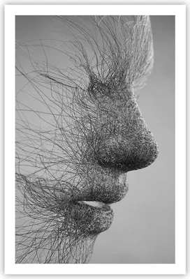 Produktbild von Poster - Poster ohne Rahmen - Gesicht Grafiken Fäden - 61x91,5 cm - Wand Bild - Wanddeko - Wandbilder - Kunstposter - Wandposter - Bilder - Kunstdruck - Wanddekoration - Wandbild - P2XPA61x91-4324