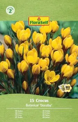 Obrázek produktu pro Krokusy FloraSelf 'Dorothy' 15 ks