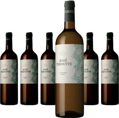 Produktbild von 6 x José Pariente Sauvignon Blanc
