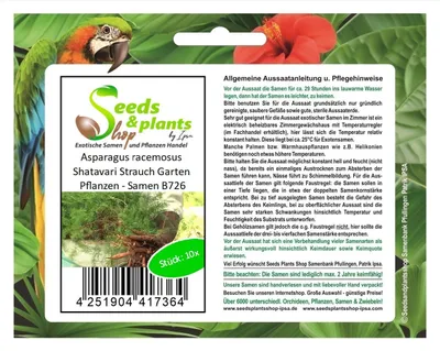 Zdjęcie produktu dla 10x Asparagus racemosus Krzew Shatavari Rośliny ogrodowe - Nasiona B726