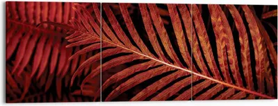Produktbild von Bild auf Leinwand - Leinwandbild - 3 Teile - Rot Blätter Palmen - 150x50cm - Wand Bild - Wanddeko - Wandbilder - Leinwanddruck - Bilder - Wanddekoration - Leinwand bilder - Wandbild - CA150x50-4816
