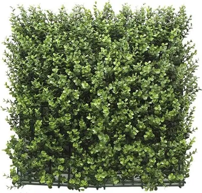 Produktbild von Kunsthecke Buchsbaum Lea - 100 x 100 cm - Künstlicher Efeü - Wandpaneel - Balkon Sichtschutz