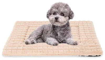 Produktbild von Waschbares Hundebett aus Memory-Schaum, 61 x 46 cm