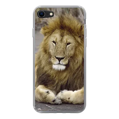 Produktbild von MuchoWow® Handyhülle Schutzhülle Hülle für iPhone 8 Löwe - Afrika - Tier Silikon Softcase Handy Hülle - Schutzhaube