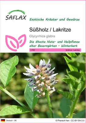 Rus tilida porno veb-chat Qizlarning gozal nam pussies