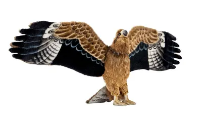 Produktbild von Hansa Toy 8432 Australischer Adler 85 cm Kuscheltier Stofftier Plüschtier