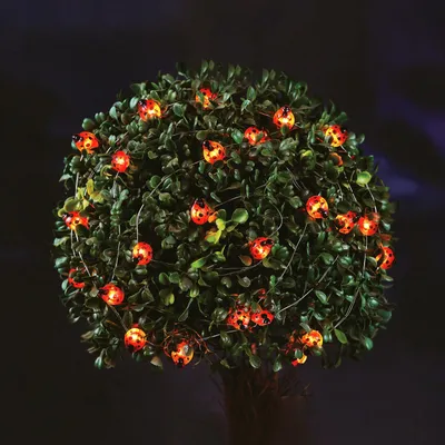 Obrázok produktu pre GLOBIZ Solárna LED sveteľná reťaz - lienka - 2,4 m - 25 LED - teplá biela, Obrázok generovaný UI