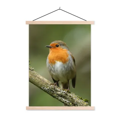 Produktbild von MuchoWow® Textilposter Vogel - Rotkehlchen - Zweig - Pflanzen 40x53 cm mit holzfarbenen Rahmen - Schlafzimmer