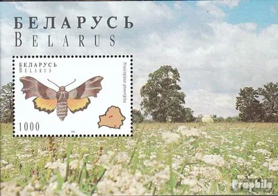 Produktbild von Briefmarken Weißrussland 1996 Mi Block7 (kompl.Ausg.) postfrisch Schmetterlinge