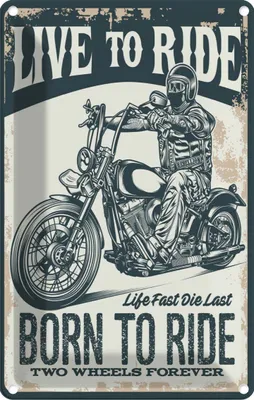 Produktbild von vianmo Blechschild 18x12 cm Biker Motorrad born to ride