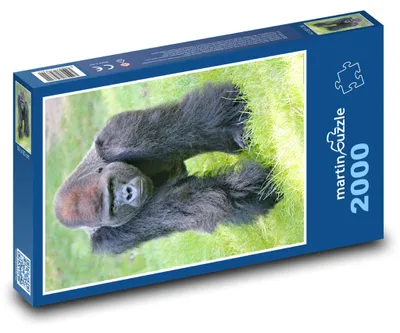 Obrázok produktu pre Puzzle 2000 Gorila na zelenej lúke - martinpuzzle