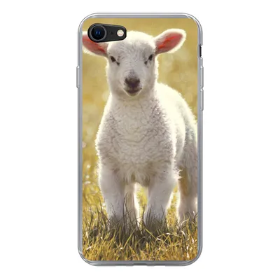 Produktbild von MuchoWow® Handyhülle Schutzhülle Hülle für iPhone 7 Schafe - Gras - Sonne Silikon Softcase Handy Hülle - Kartenhalter