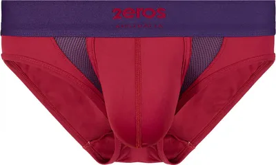 Image de 2EROS - Sous-vêtement Slips Hommes - AKTIV Cronus Brief Beet Red - 1x Taille L