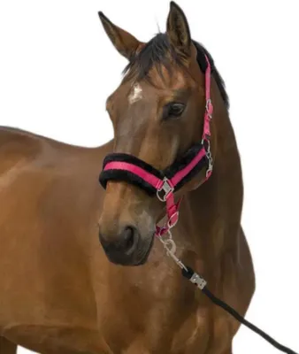 Immagine prodotto di Equitheme Mouton Nylon Cavezze Marrone Cob Marrone Cob