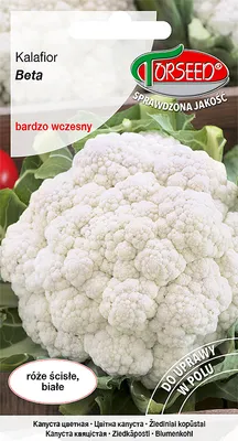Produktbild von Beta-Blumenkohlsamen 1g - Torseed