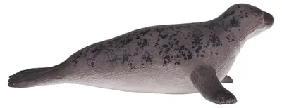 Zdjęcie produktu dla Mojo Fun Grey Seal, 3 lat(a), SEALIFE, Szary, Polichlorek winylu (PVC)