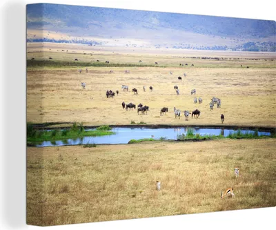 Obrázek produktu pro OneMillionCanvasses® - Obrazy na plátně - 140x90 cm, Zvířata - Safari - Divoká příroda, Nástěnné umění Vytisknout Nástěnná dekorace