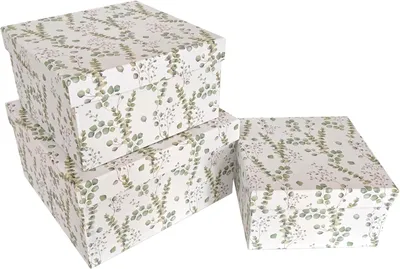 Produktbild von PapeRoom Aufbewahrungsboxen 3er Set quadratisch, Geschenkboxen Weiß mit Eukalyptus Muster und Deckel