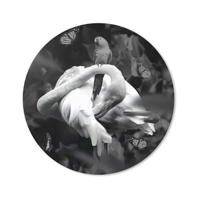 Produktbild von MuchoWow® Mauspad Mousepad Flamingo - Tiere - Dschungel - Schwarz - Weiß 30x30 cm - Mousepads - Maus Mat - Pad - Mausunterlage - Tischunterlage - Schreibtischmatten