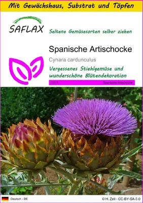 Produktbild von SAFLAX Anzucht Set - Spanische Artischocke - Cynara cardunculus - 50 Samen - Mit Mini-Gewächshaus, Anzuchtsubstrat und 2 Töpfen