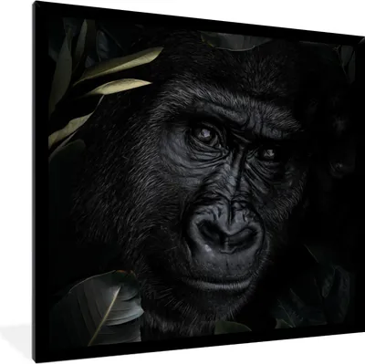 Produktbild von MuchoWow® MuchoWow® Gerahmtes Poster Affe - Tiere - Blätter - Botanisch 40x40 cm - Poster mit zchwarzem Bilderrahmen - Mit Rahmen - Wanddekoration Schlafzimmer