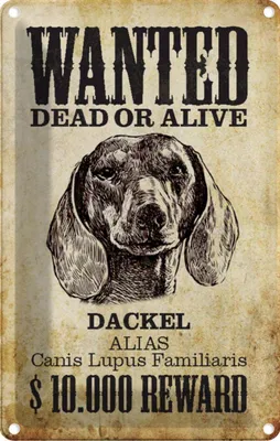 Produktbild von vianmo Blechschild 18x12 cm Hund wanted dead Dackel Alias Tier Haustier