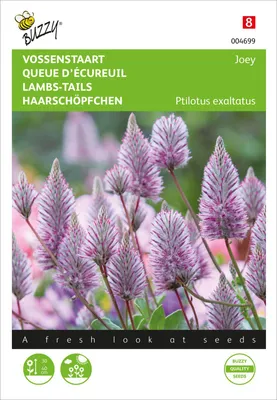Produktbild von Haarschöpfchen Joey Ptilotus | Blumensamen von Buzzy Seeds