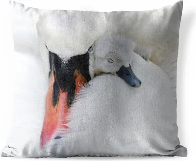 Produktbild von MuchoWow® Outdoor Kissen - Nahaufnahme eines Schwans mit Jungen - 50x50 cm - Wetterfest - Lounge Kissen - Komfortabel - Kissen mit Bild